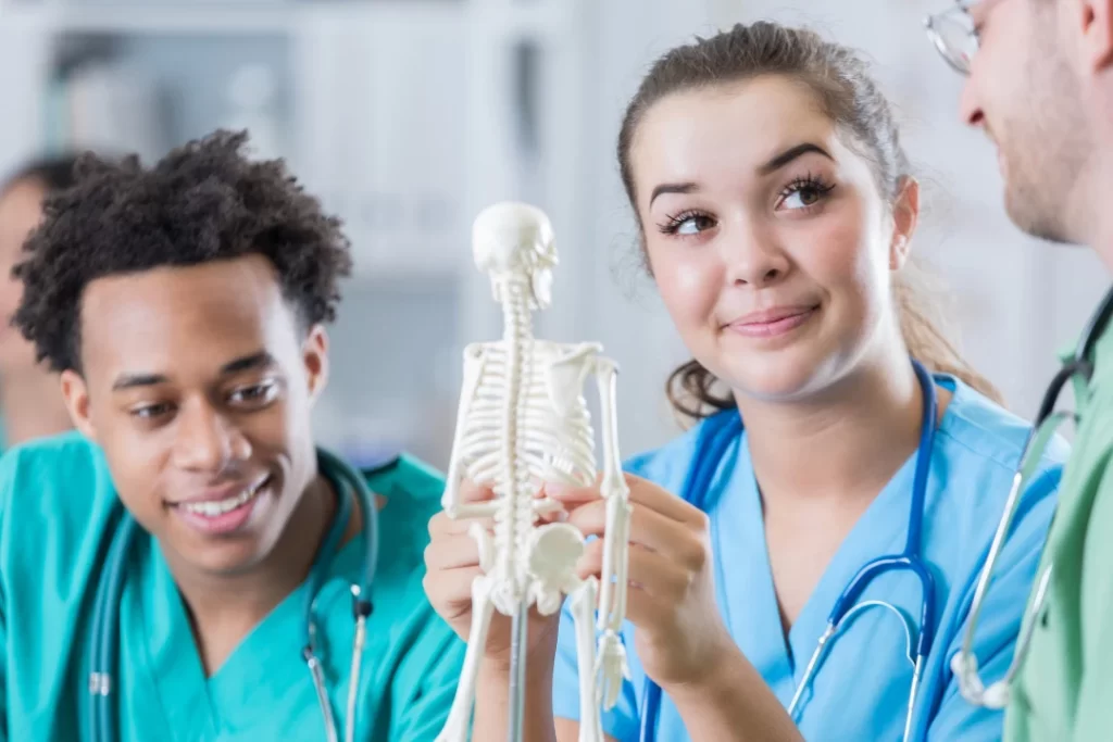Healthy skeleton system with mg supplements.