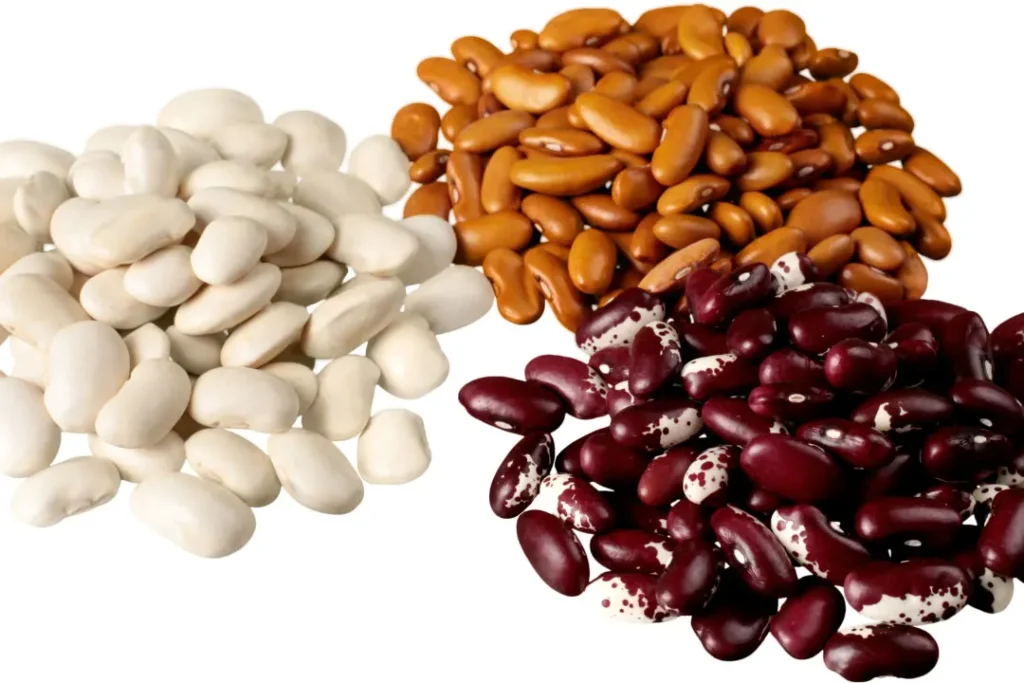 Beans contain protein.