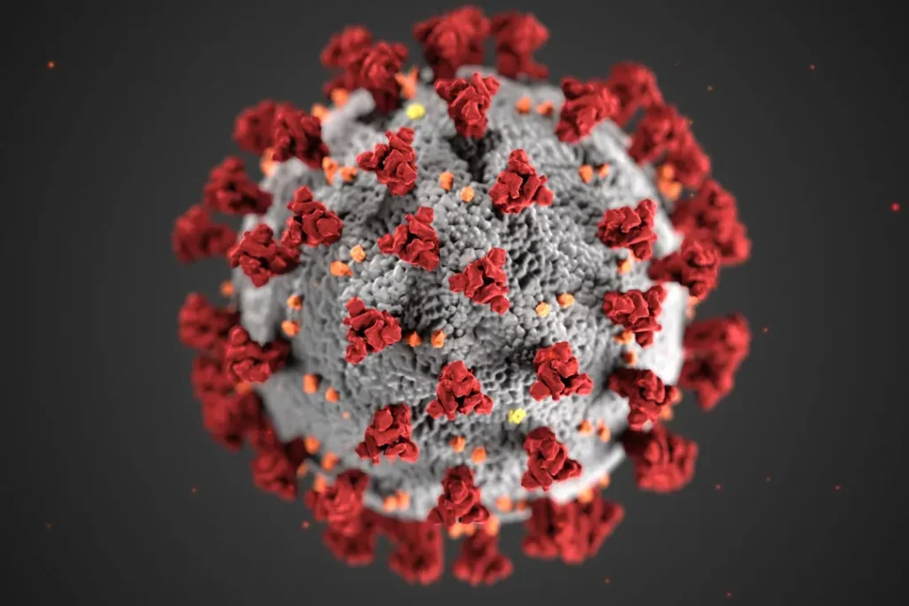 Virus.