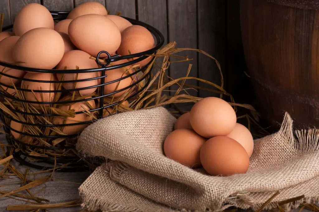 Eggs placed in bucket.