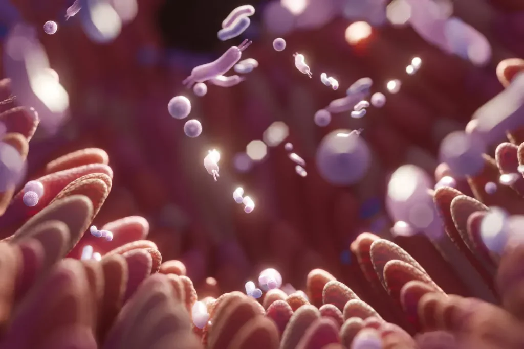 Gut microbes.