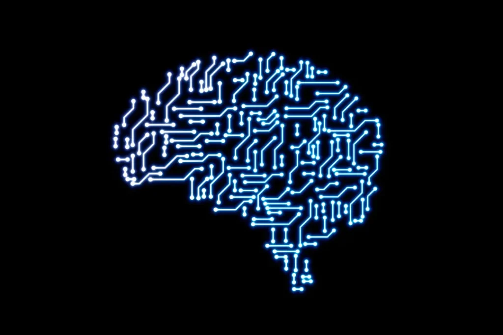 Human brain structure.