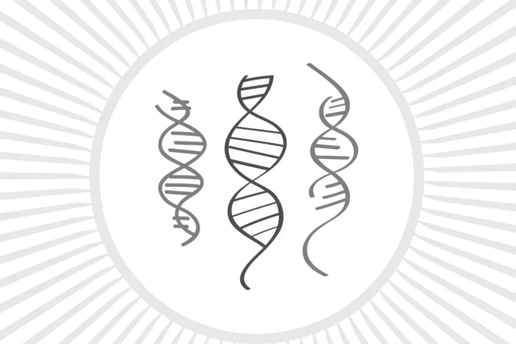 DNA structure.