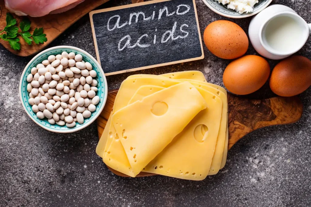 Amino acid sources.