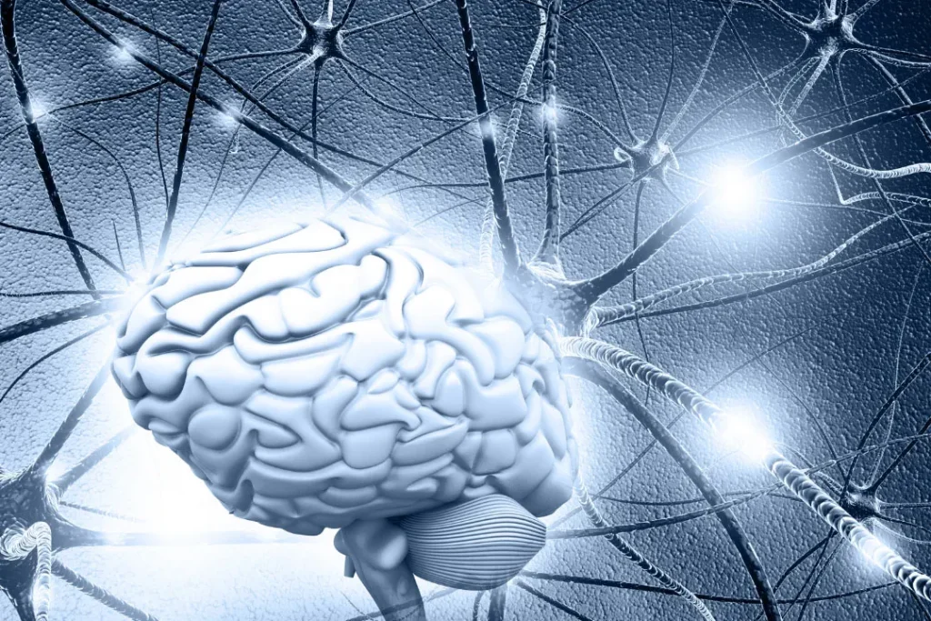 computer artwork of human brain and neuron cell