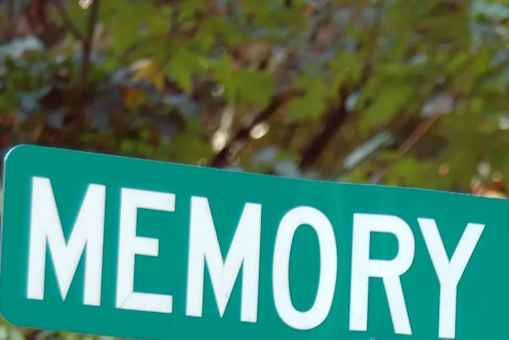 Memory.