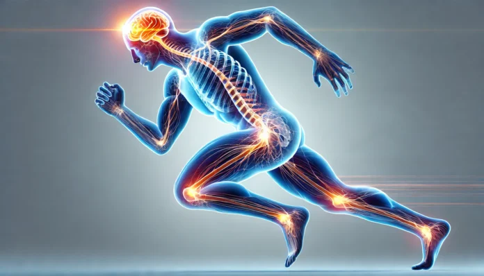 Side view of a human figure in motion with glowing neural pathways from the brain and spinal cord to muscles and joints, highlighting the integrated role of the central nervous system in movement and balance.