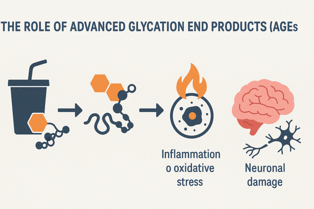 Flowchart-style infographic showing how sugar may affect dementia risk by forming AGEs that trigger inflammation and brain cell damage.