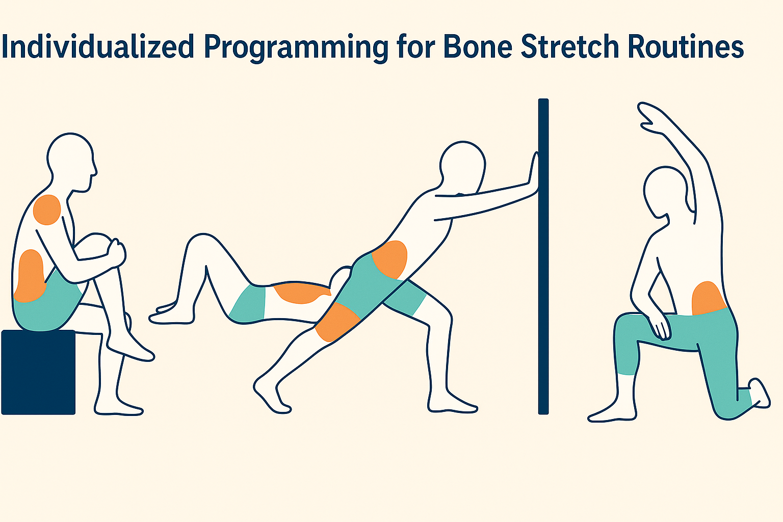 Diagram showing osteoporosis-safe positions for spine, hips, and shoulders to explore whether do bone stretch exercises really help.