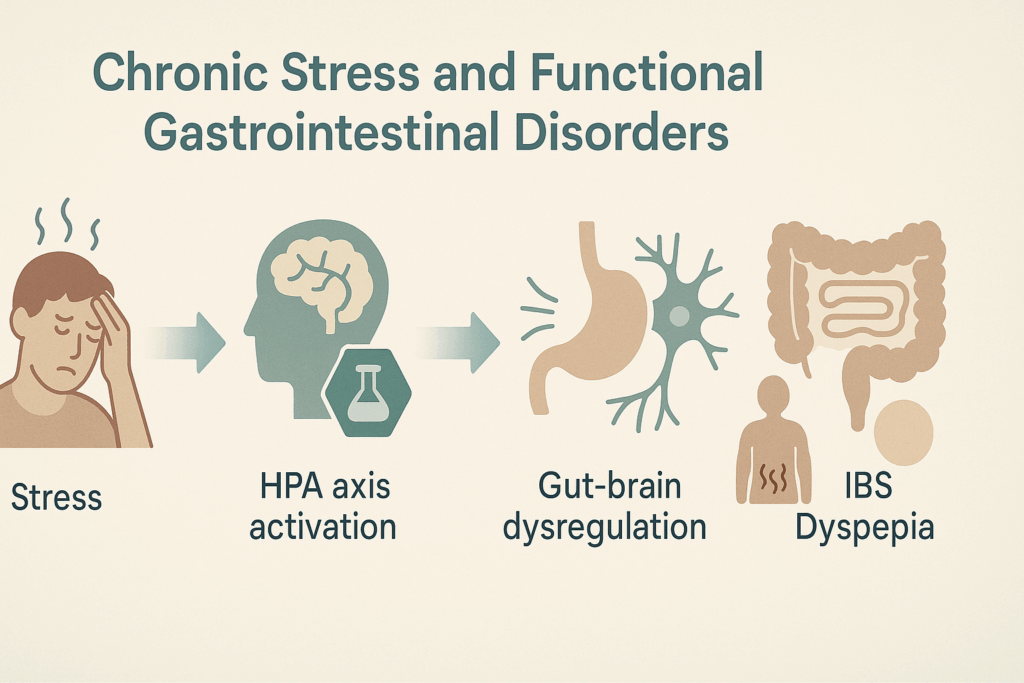 Flowchart-style infographic illustrating how stress disrupts digestion, showing progression from stress to HPA axis activation, gut-brain dysregulation, and IBS.
