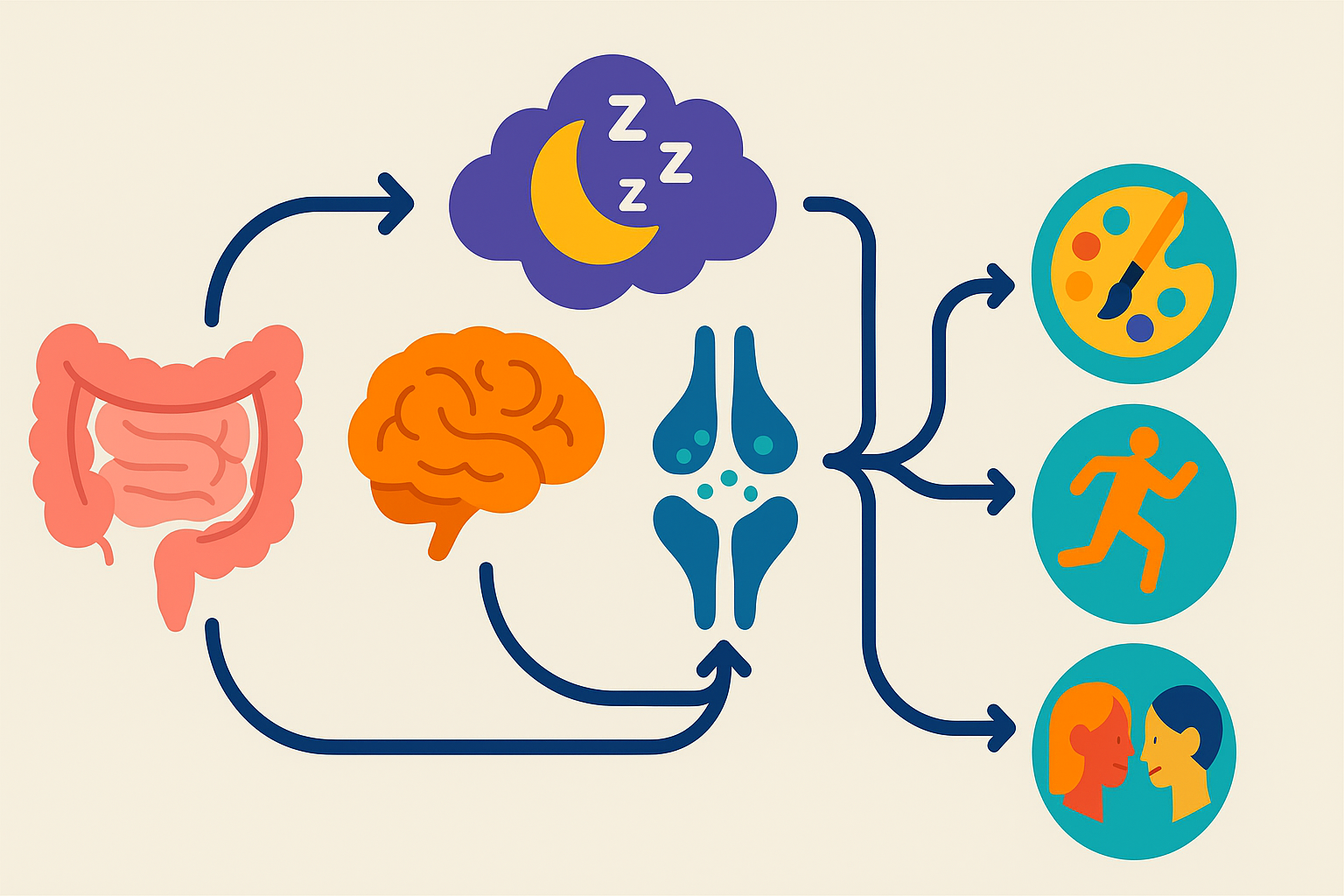 Vector infographic illustrating the gut-brain axis, sleep-related synaptic pruning, and activities that boost synaptic function like art, exercise, and social interaction