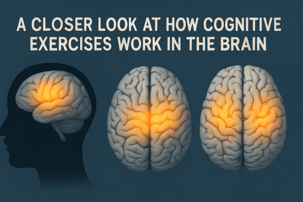 Brain infographic showing active regions in the prefrontal cortex, hippocampus, and parietal lobes during cognitive exercises, illustrating what is cognitive training