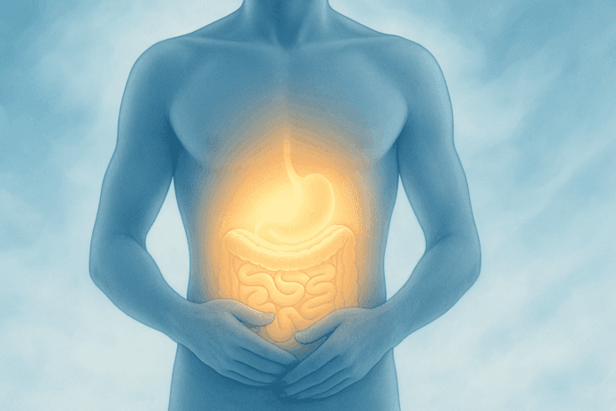 Human torso with glowing gut area, symbolizing sensitivity and gut health, illustrating the concept of why does my stomach feel tight.